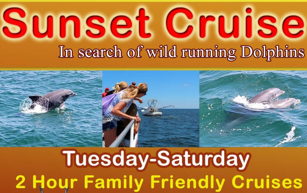 Sunset Dolphin Cruise in search of wild running dolphins. Tuesday - Saturday.
